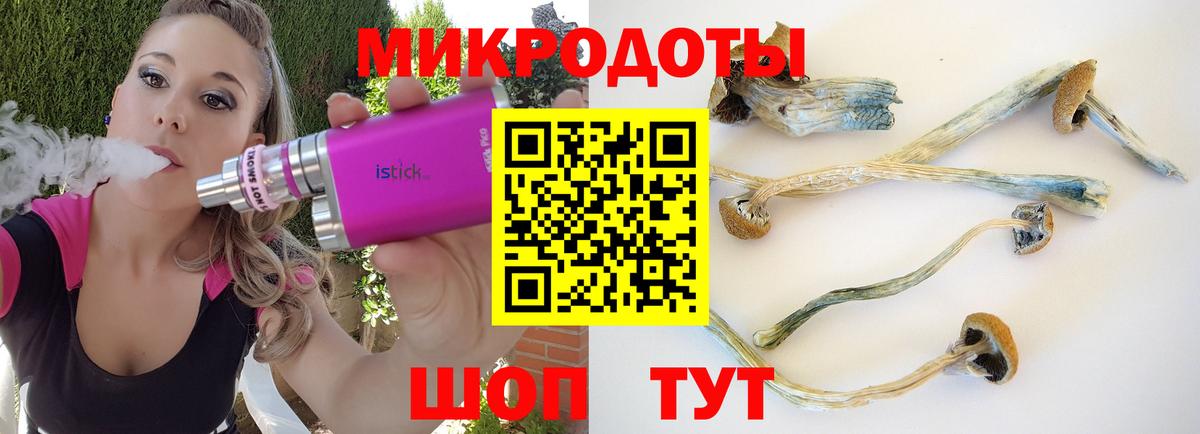 Псилоцибиновые грибы Magic Shrooms Димитровград