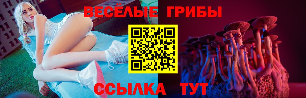 Галлюциногенные грибы мицелий  Вход с VPN  Димитровград  Псилоцибиновые грибы прущие грибы 